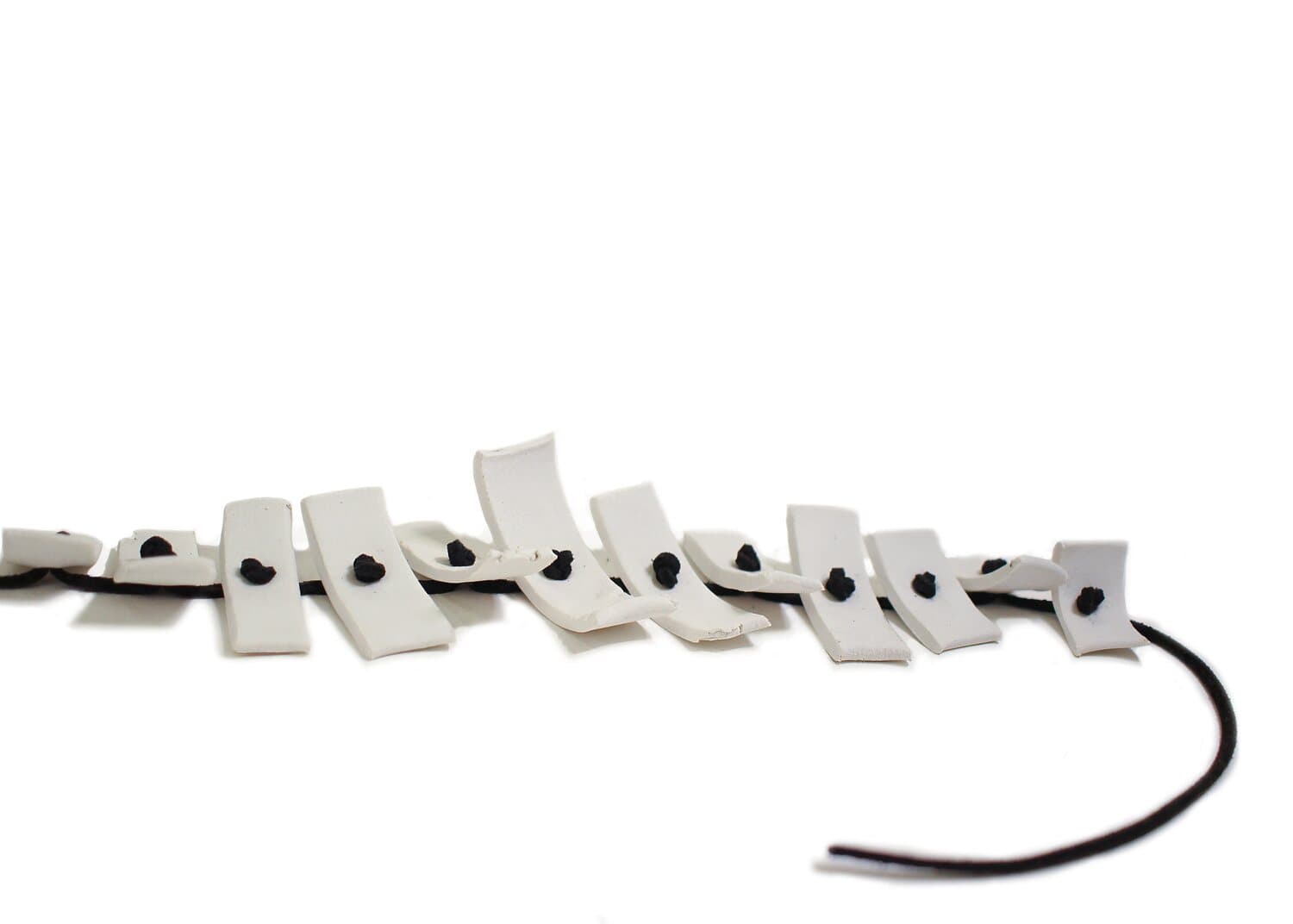Torini collar · vista 2