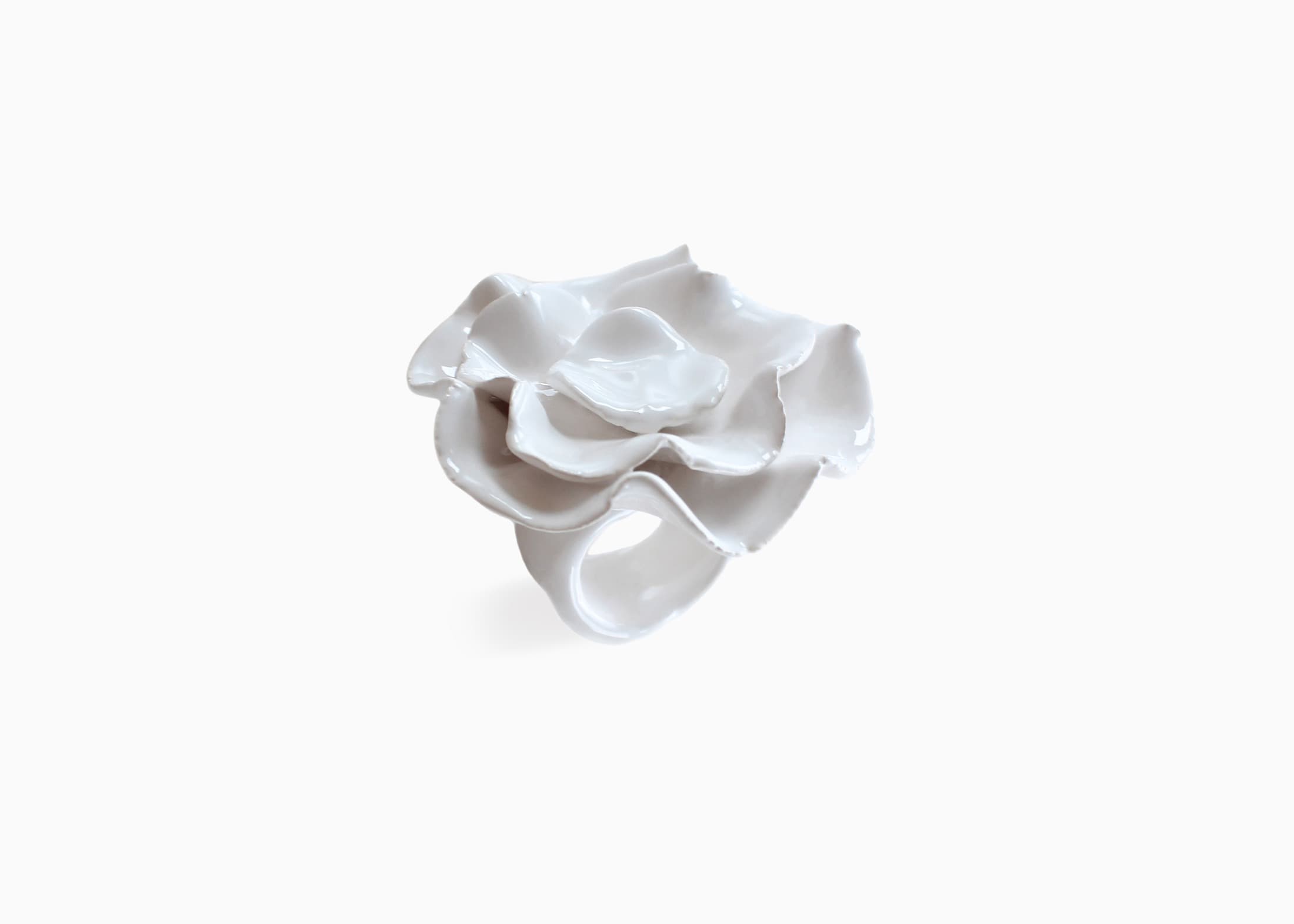 Wardi anillo blanco